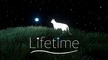 Lifetime Game