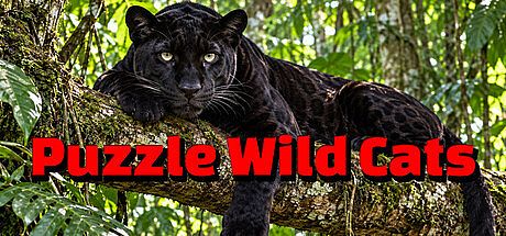 Puzzle Wild Cats Game