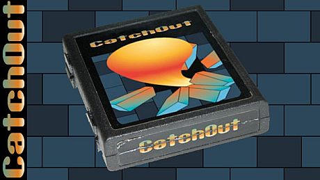 Time Killers: CatchOut Game