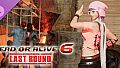 DOA6LR Ayane Remaining Shadow: Shunrai