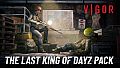 Vigor - Last King of DayZ