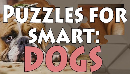 Puzzles for smart: Dogs