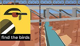 Find the Birds