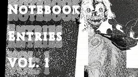 Notebook Entries Vol. 1