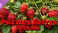 Puzzles Berrys Artbook