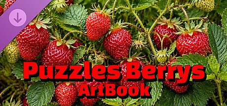 Puzzles Berrys Artbook DLC
