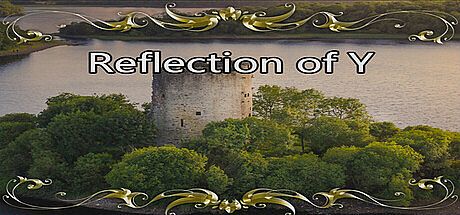 Reflection of Y