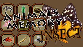 Animals Memory: Insect