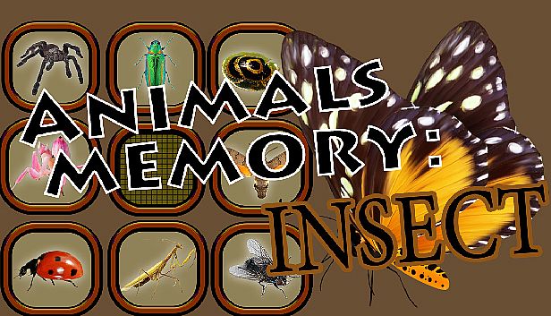 Buy Animals Memory: Insect