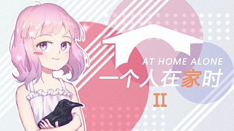 At Home Alone II Game