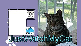 JustWatchMyCat