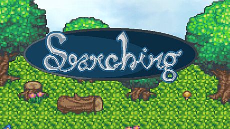 Searching Game