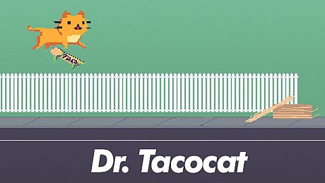 Dr. Tacocat