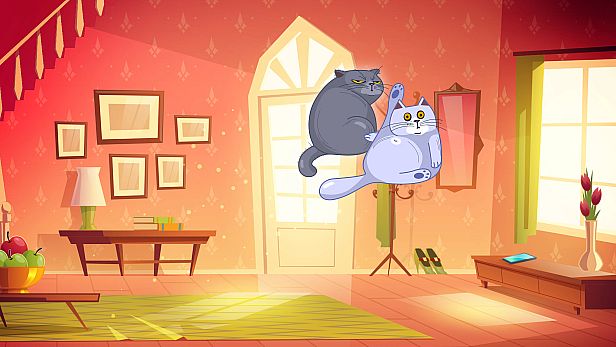 Buy Cat Break Head to Head