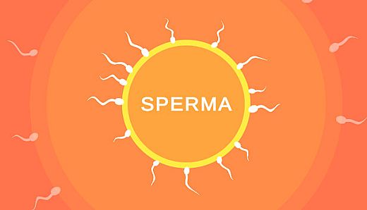 Sperma