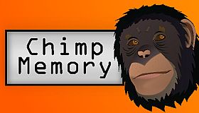 Chimp Memory
