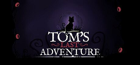 Tom's Last Adventure Game