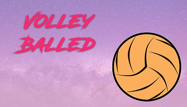 Buy Volleyballed
