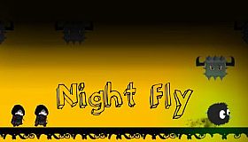 Night Fly