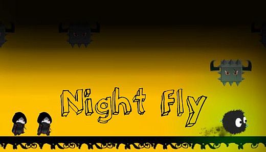 Night Fly