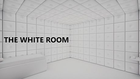 The White Room Game