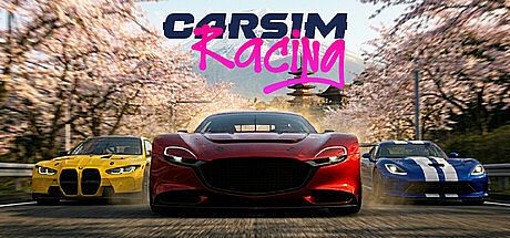 CarSim Racing