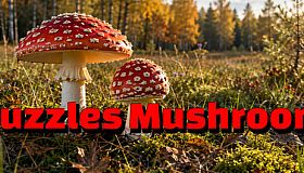 Puzzles Mushroom