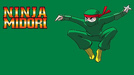 Ninja Midori Game