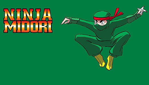 Ninja Midori