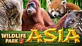 Wildlife Park 3 - Asia