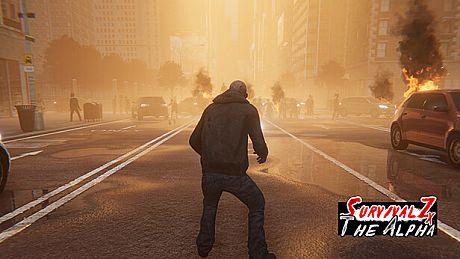 Survival Z The Alpha Game