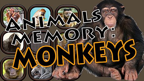 Animals Memory: Monkeys Game