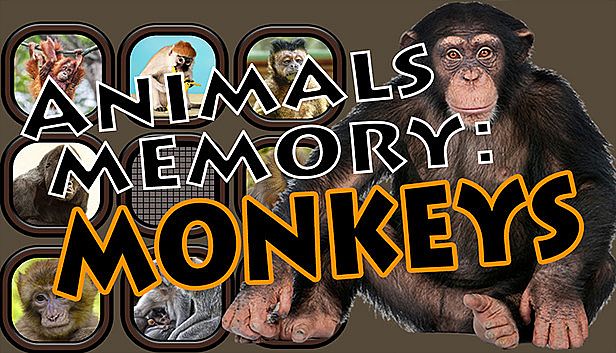 Buy Animals Memory: Monkeys