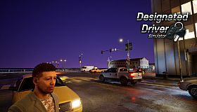 Designated Driver Simulator