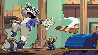 Rogue Raccoon Game
