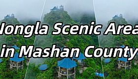 Nongla Scenic Area in Mashan County