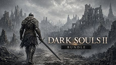 DARK SOULS II: Bundle (DX9) Package