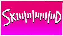 Kup SKIIIIIIIIIIIIIIID na PC