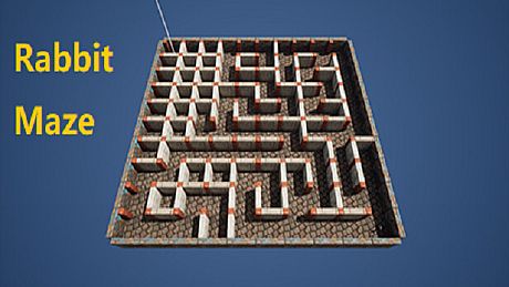 Rabbit Maze Game