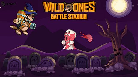Wild Ones Battle Stadium Game