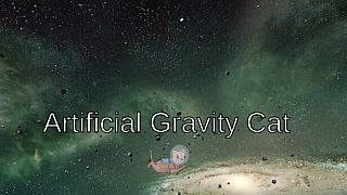 Artificial Gravity Cat Game