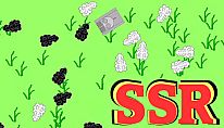 SSR für PC kaufen