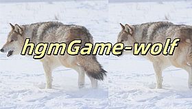 hgmGame-wolf