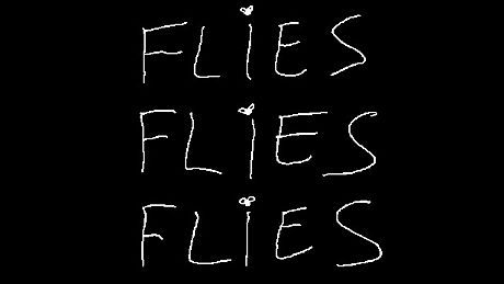 FLIES FLIES FLIES Game