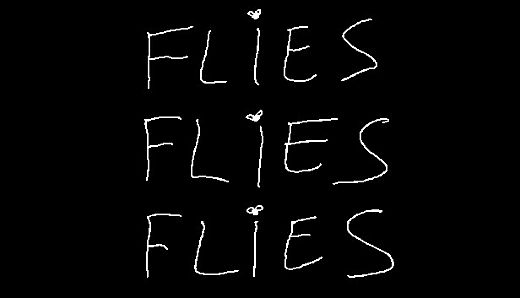 FLIES FLIES FLIES