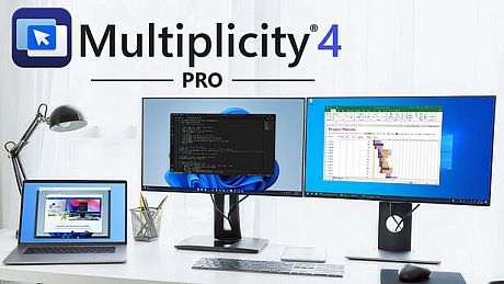 Multiplicity 4 Pro Game