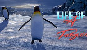 Life of a Penguin