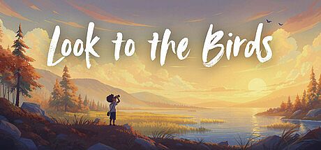 Look to the Birds Game