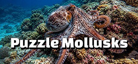 Puzzle Mollusks Game