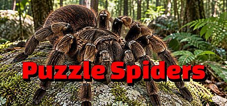 Puzzle Spiders Game